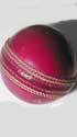 Cricket ball