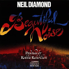 Review of Beautiful Noise