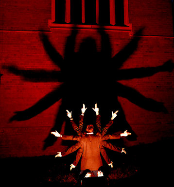 'Spiderman'