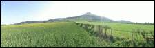 Roseberry Topping