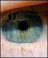 Pic: close up of a human eye