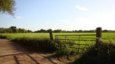 Sunshine over...