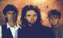 The Icicle Works The Icicle Works