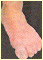 foot
