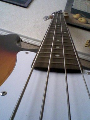 Bass