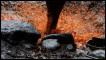 Crude oil sprays from a well bucket. Getty