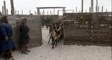 nenets's video screenshot thumbnail