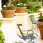patio image