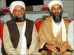 ओसामा बिन लादेन