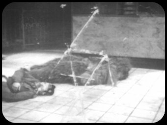56