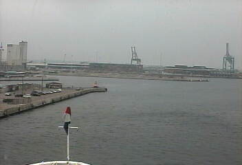 Adonia P&O Cruises