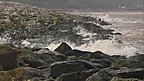 Climate Change and Coastal Flooding
