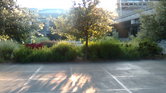 Sunny Day Seattle...