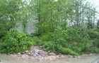 The Ravine Garden: Gift of the Glacier