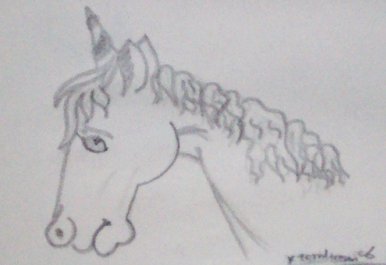 Unicorn..