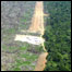 Devastação na Amazônia, foto cortesia: Greenpeace