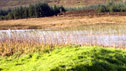 The site of fortifications.