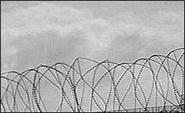 barbed wire