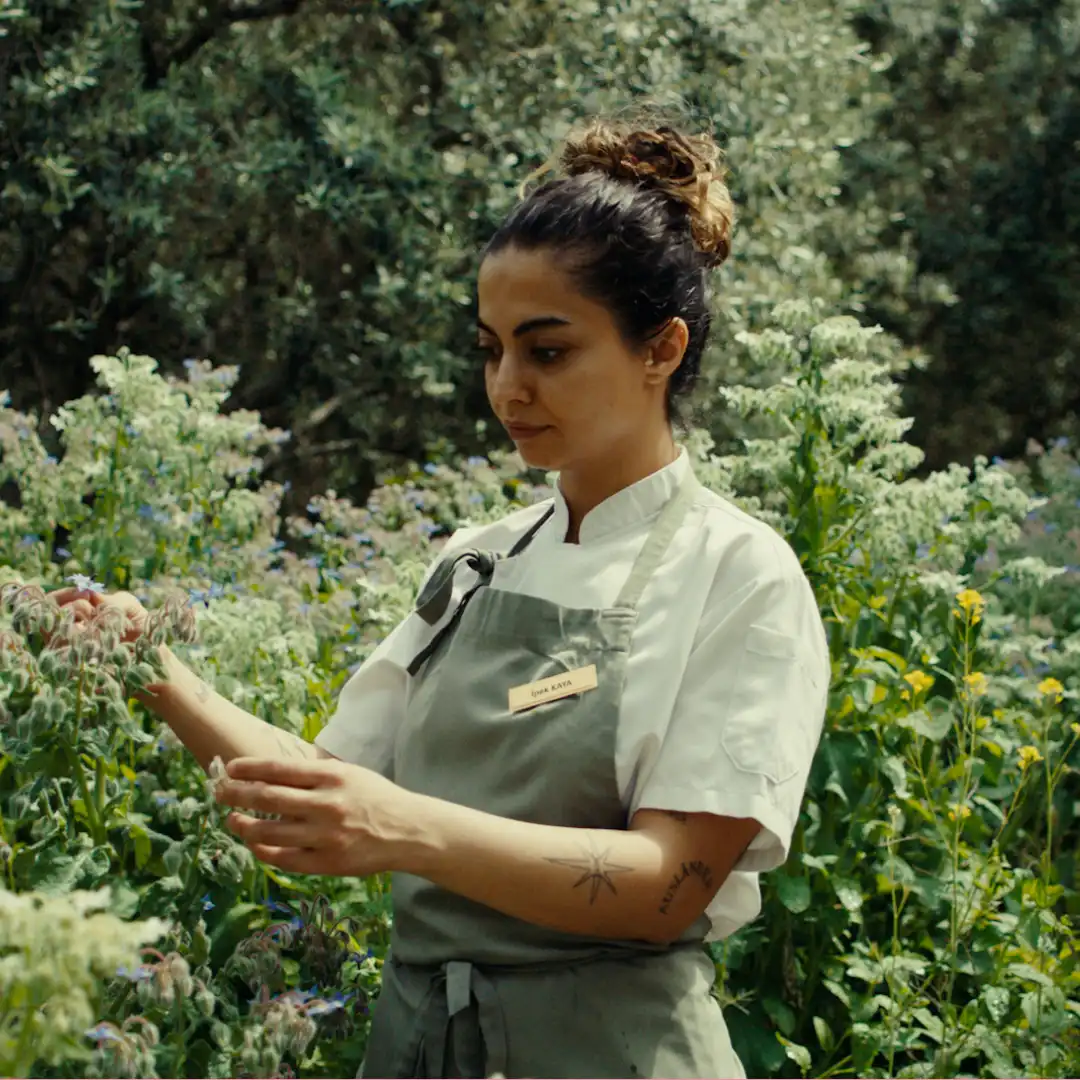 Female chef in uniform and apron gently inspecting flowering herbs in an outdoor kitchen garden.