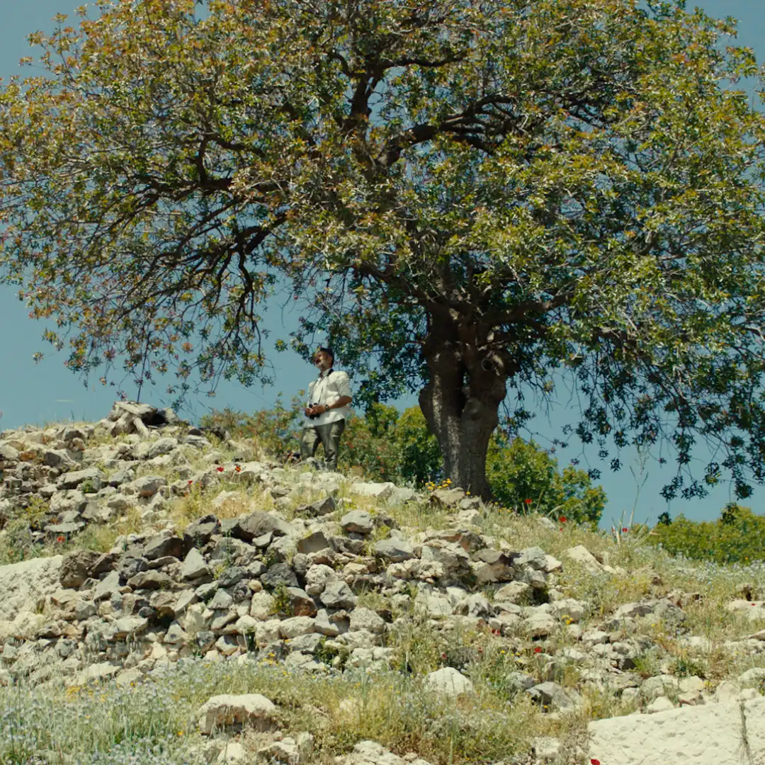 Person standing on a rocky hillside under a large tree, with a clear blue sky overhead.
