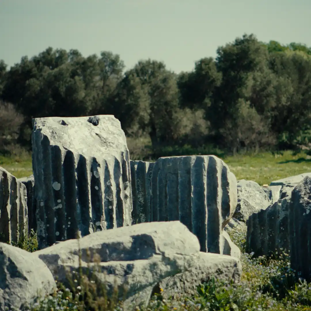 Close-up of broken fluted stone columns lying in a grassy field.