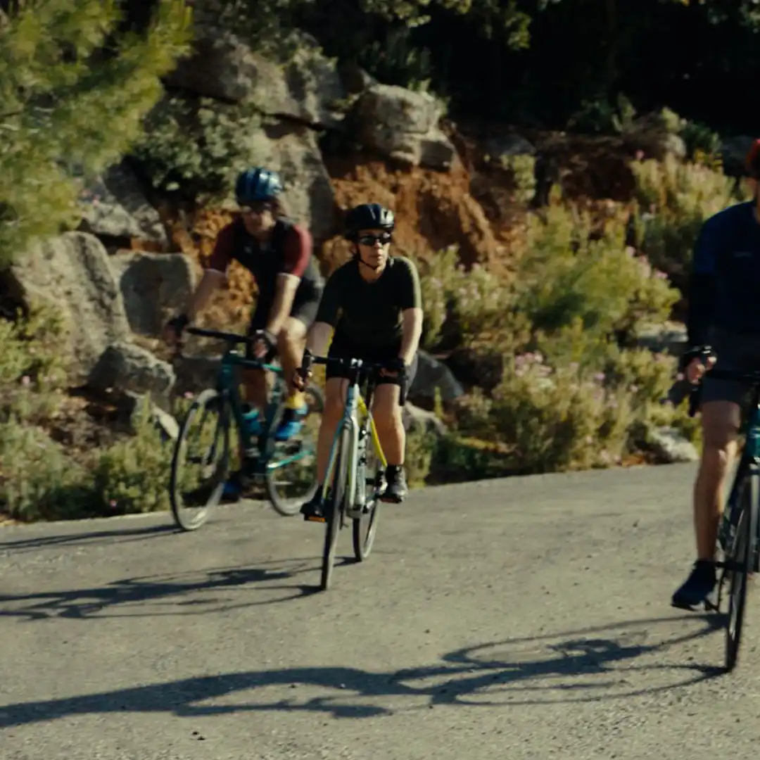 Three cyclists wearing helmets and gear ascend a sunlit hill road lined with rocks and greenery.