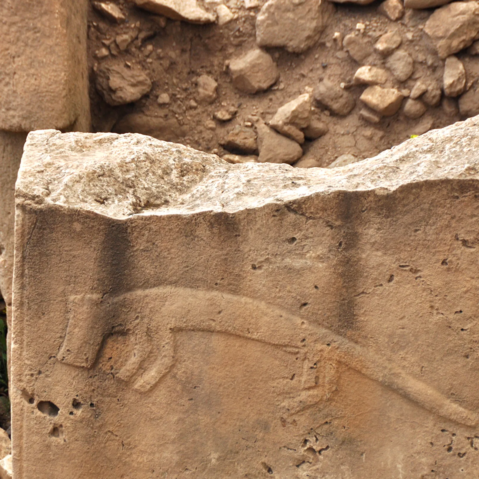 Close-up of a carved stone slab from Göbekli Tepe, featuring a raised depiction of an animal, possibly a feline.