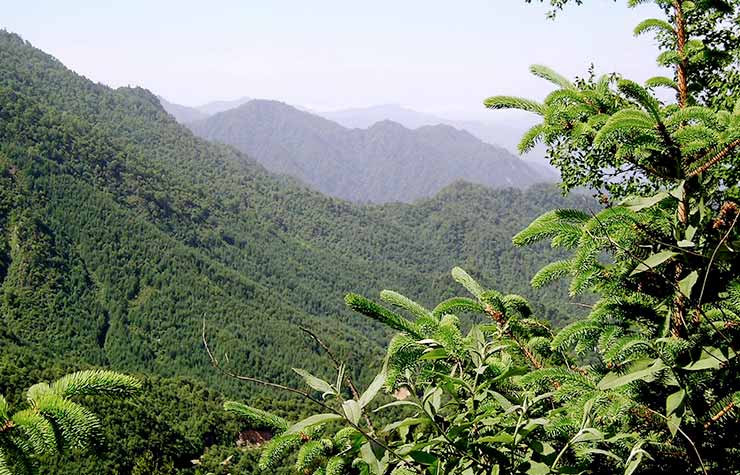 Qinling Mountains